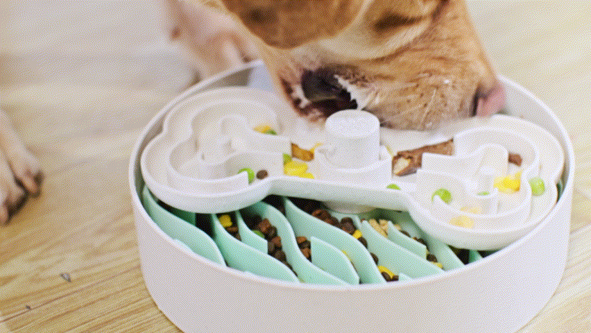 Puzzle Feeder™ Wave - Slower than a Slow Feeder - For Dogs (Green) From PuzzleFeeder - Slower than a slow feeder
