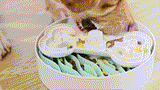 Puzzle Feeder™ Wave - Slower than a Slow Feeder - For Dogs (Green) From PuzzleFeeder - Slower than a slow feeder