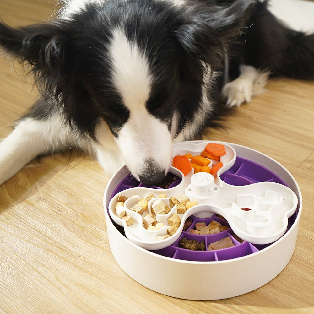 Puzzle Feeder™ Swirl - Slower than a Slow Feeder - For Dogs (Purple) From PuzzleFeeder - Slower than a slow feeder