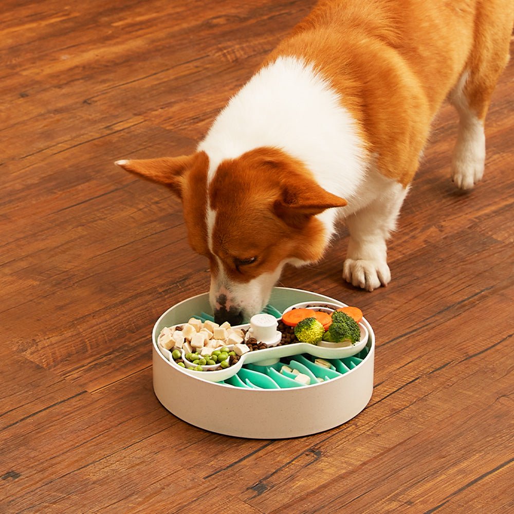 Puzzle Feeder™ Wave - Slower than a Slow Feeder - For Dogs (Green) From PuzzleFeeder - Slower than a slow feeder