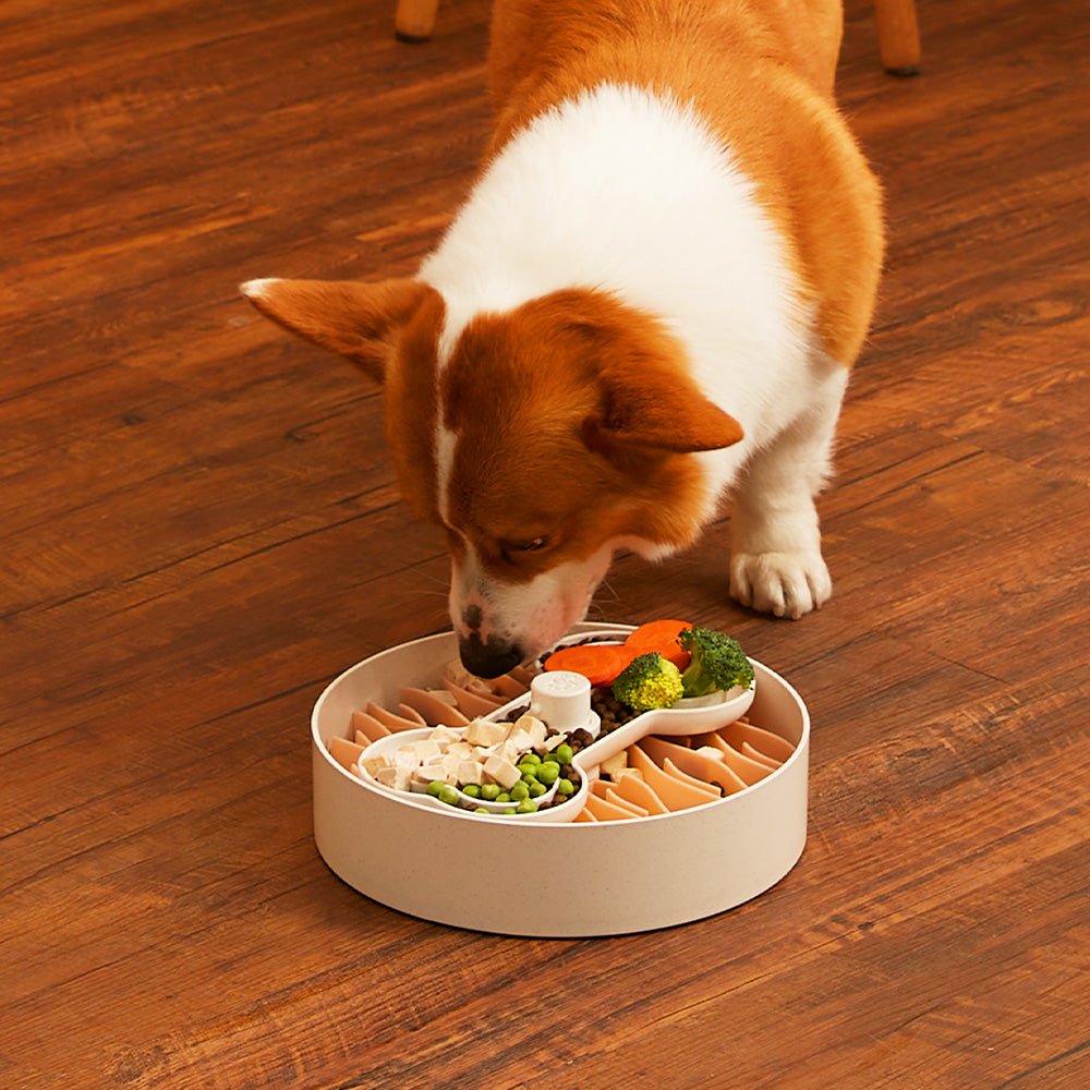 Puzzle Feeder™ Wave - Slower than a Slow Feeder - For Dogs (Pink) From PuzzleFeeder - Slower than a slow feeder