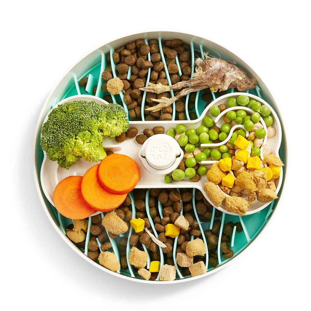 Puzzle Feeder™ Wave - Slower than a Slow Feeder - For Dogs (Green) From PuzzleFeeder - Slower than a slow feeder