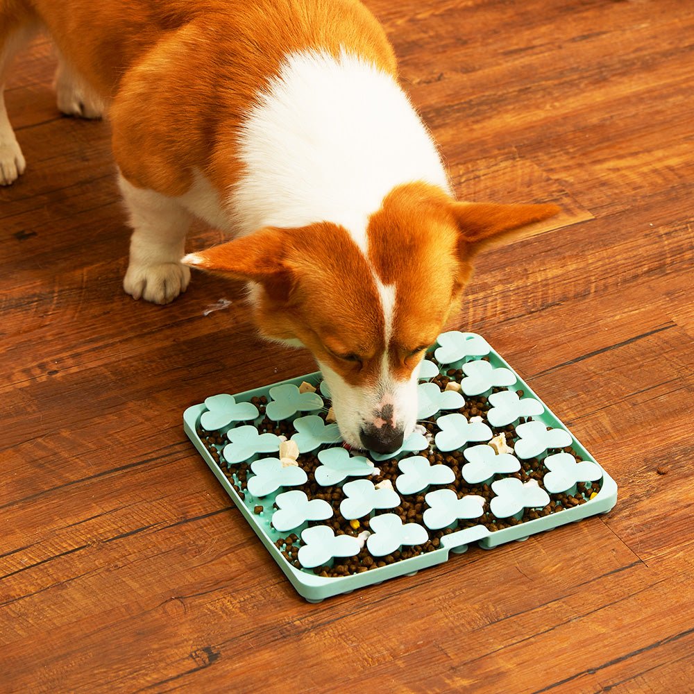 Dog Puzzle Mat - Slow Feeding Mat(Green) From PuzzleFeeder - Slower than a slow feeder