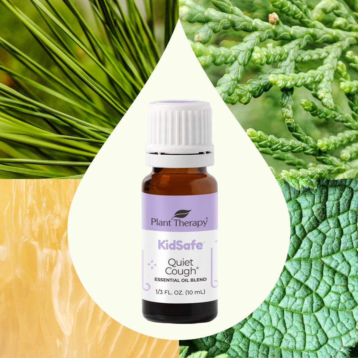 Quiet Cough® KidSafe Essential Oil Blend from Plant Therapy
