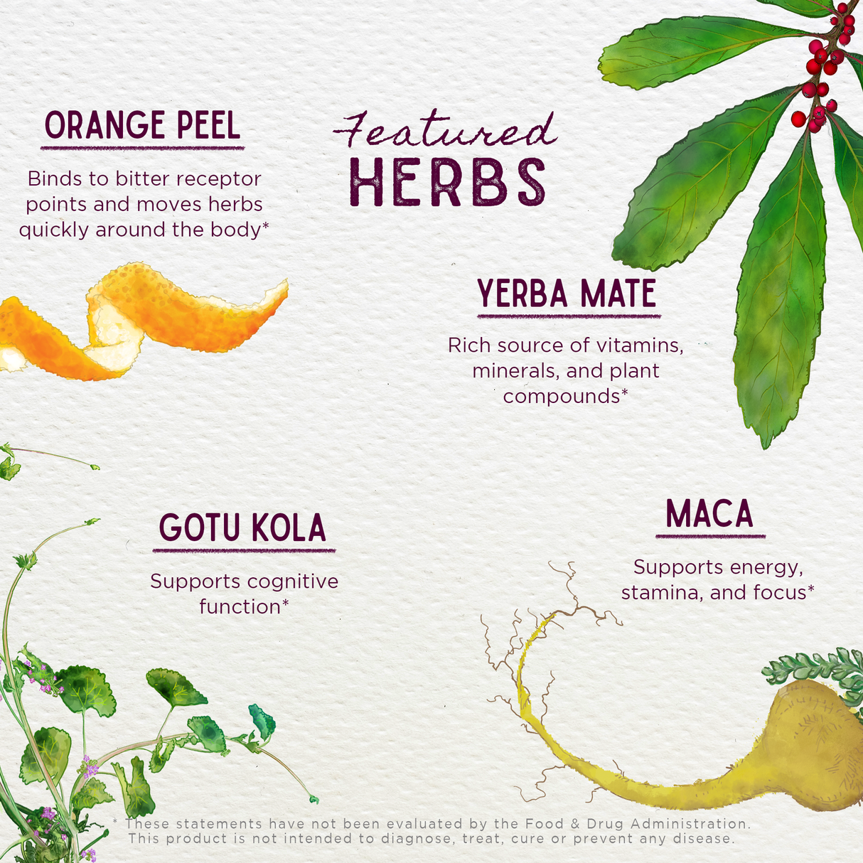 Rise & Energize Daily Energy Boost from WishGarden Herbs