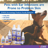 Zymox Enzymatic Ear Cleanser from HardyPaw