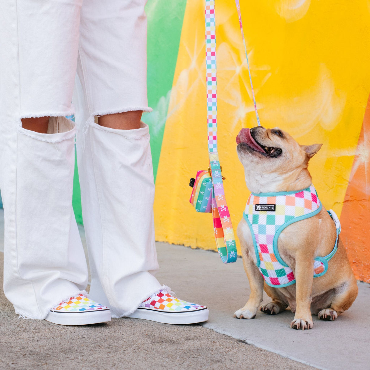 Frenchie Duo Reversible Harness - Rainbow Bad to the Bone from Frenchie Bulldog