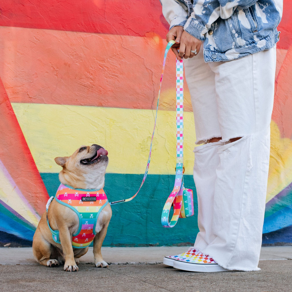 Frenchie Duo Reversible Harness - Rainbow Bad to the Bone from Frenchie Bulldog