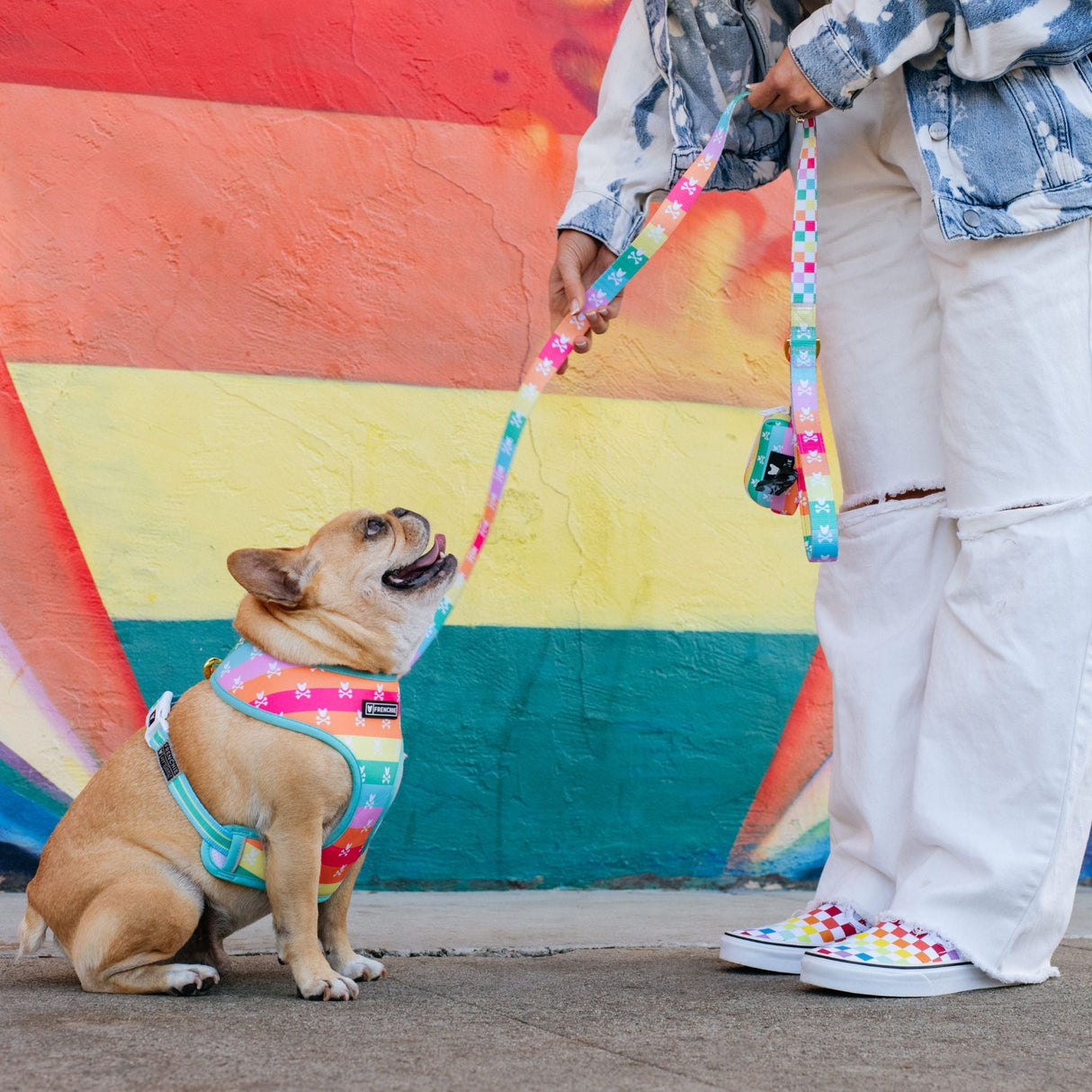 Frenchie Duo Reversible Harness - Rainbow Bad to the Bone from Frenchie Bulldog