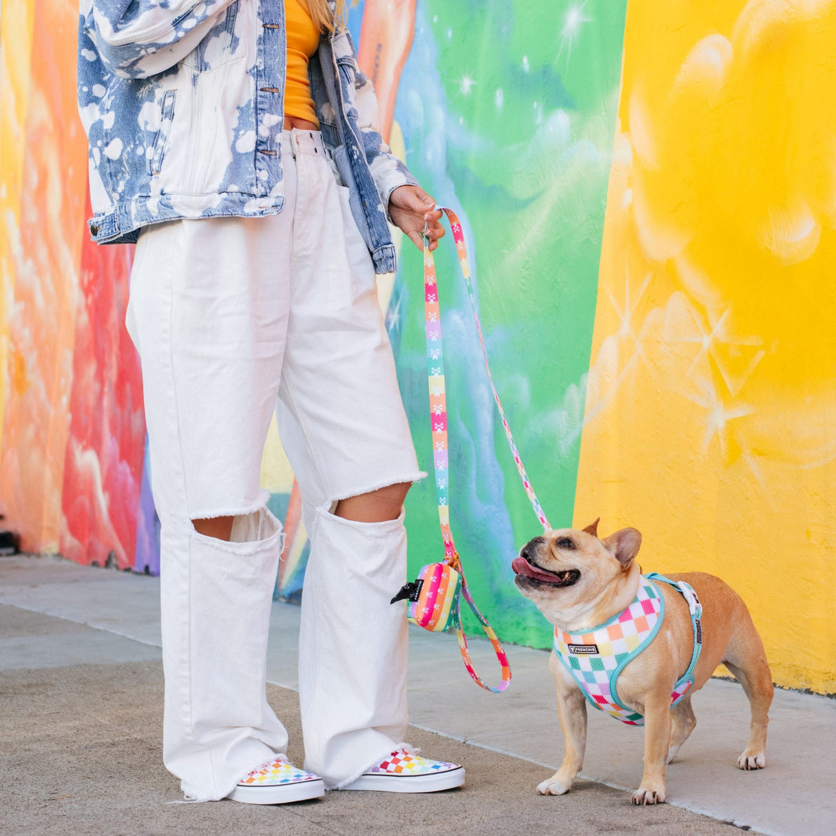 Frenchie Duo Reversible Harness - Rainbow Bad to the Bone from Frenchie Bulldog