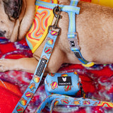 Frenchie Comfort Leash - Rainbow Ice from Frenchie Bulldog
