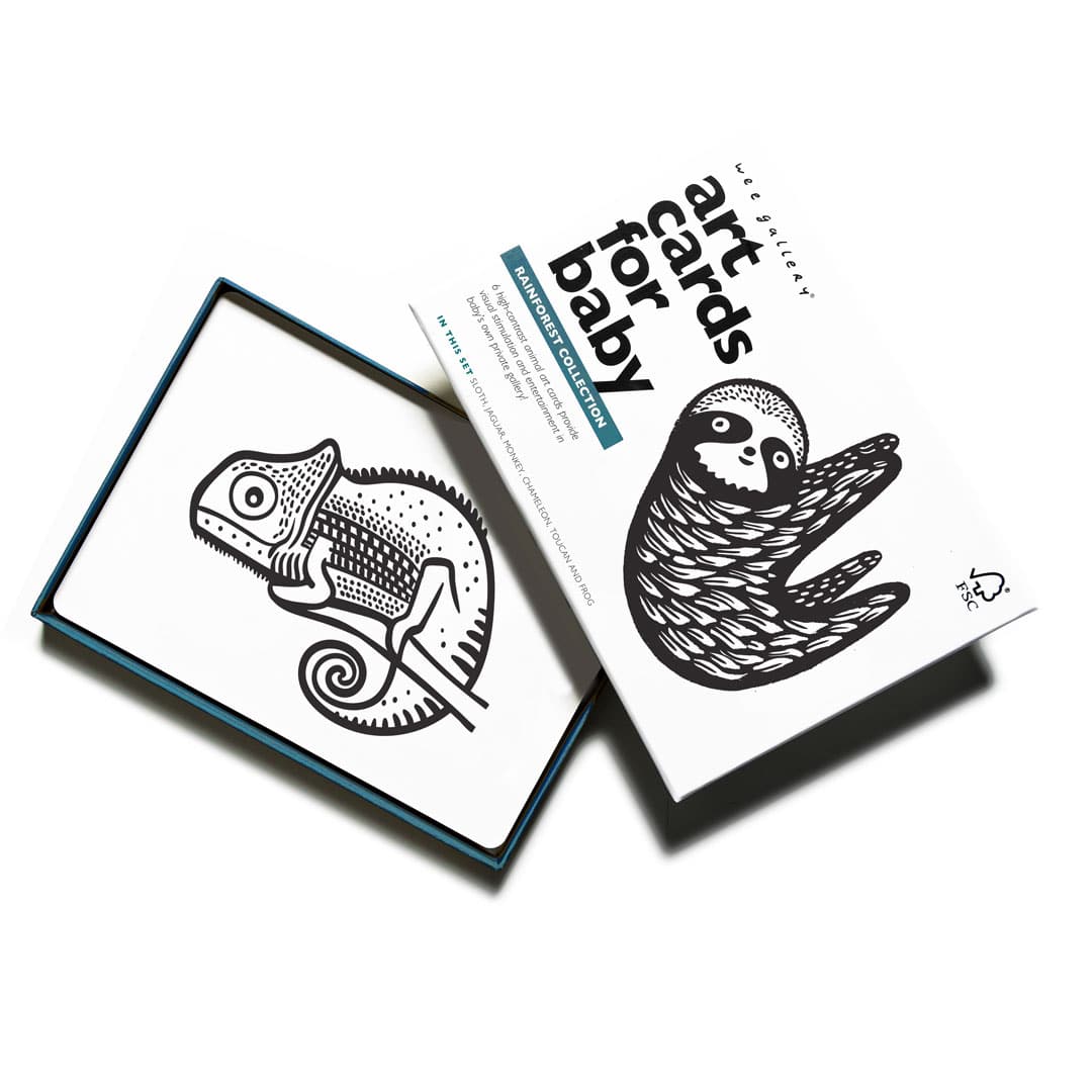 Art Cards for Baby - Rainforest Collection From Wee Gallery