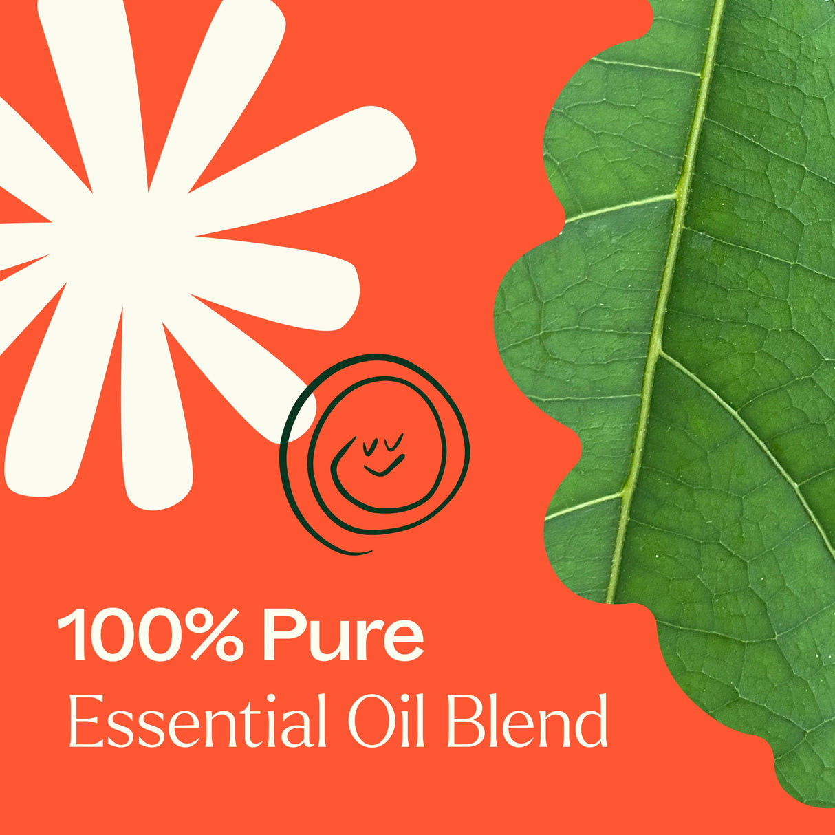 Rapid Relief Essential Oil Blend Pre-Diluted Roll-On from Plant Therapy