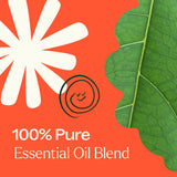 Rapid Relief Essential Oil Blend Pre-Diluted Roll-On from Plant Therapy
