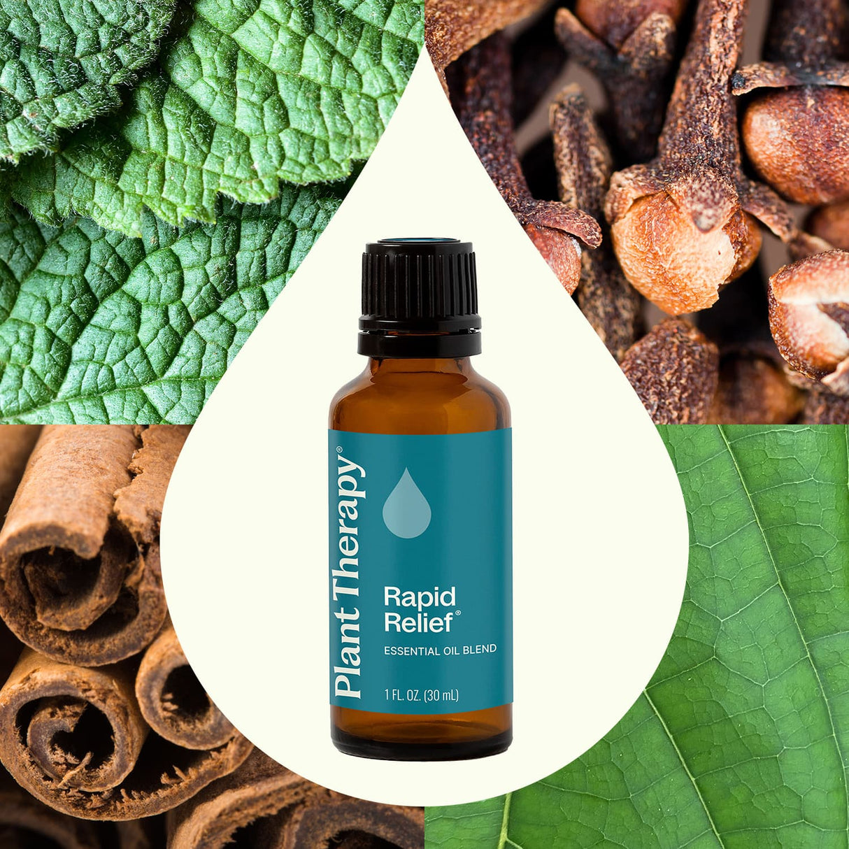 Rapid Relief Essential Oil Blend from Plant Therapy