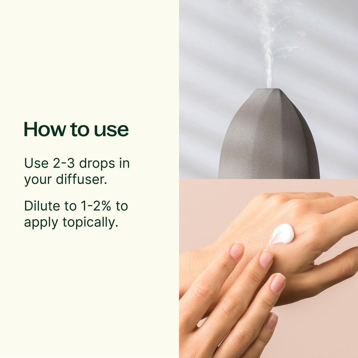 Ravintsara Essential Oil from Plant Therapy