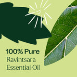 Ravintsara Essential Oil from Plant Therapy