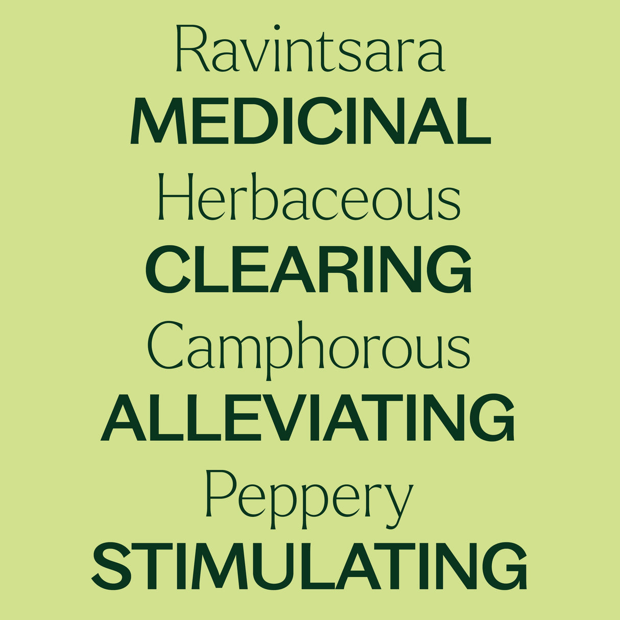 Ravintsara Essential Oil from Plant Therapy