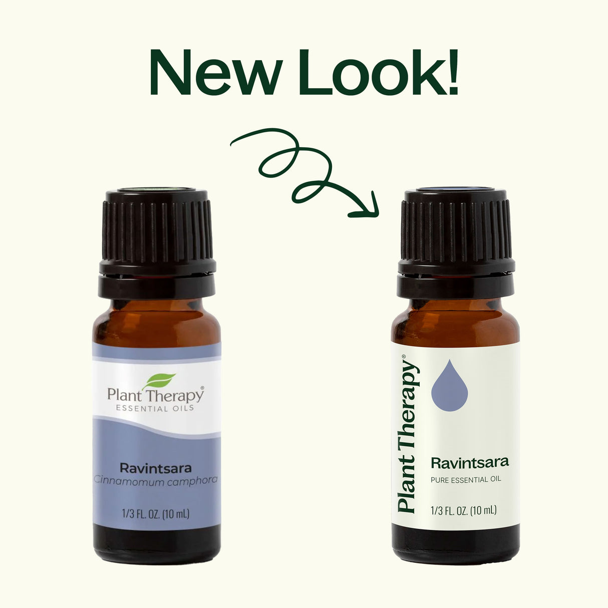 Ravintsara Essential Oil from Plant Therapy