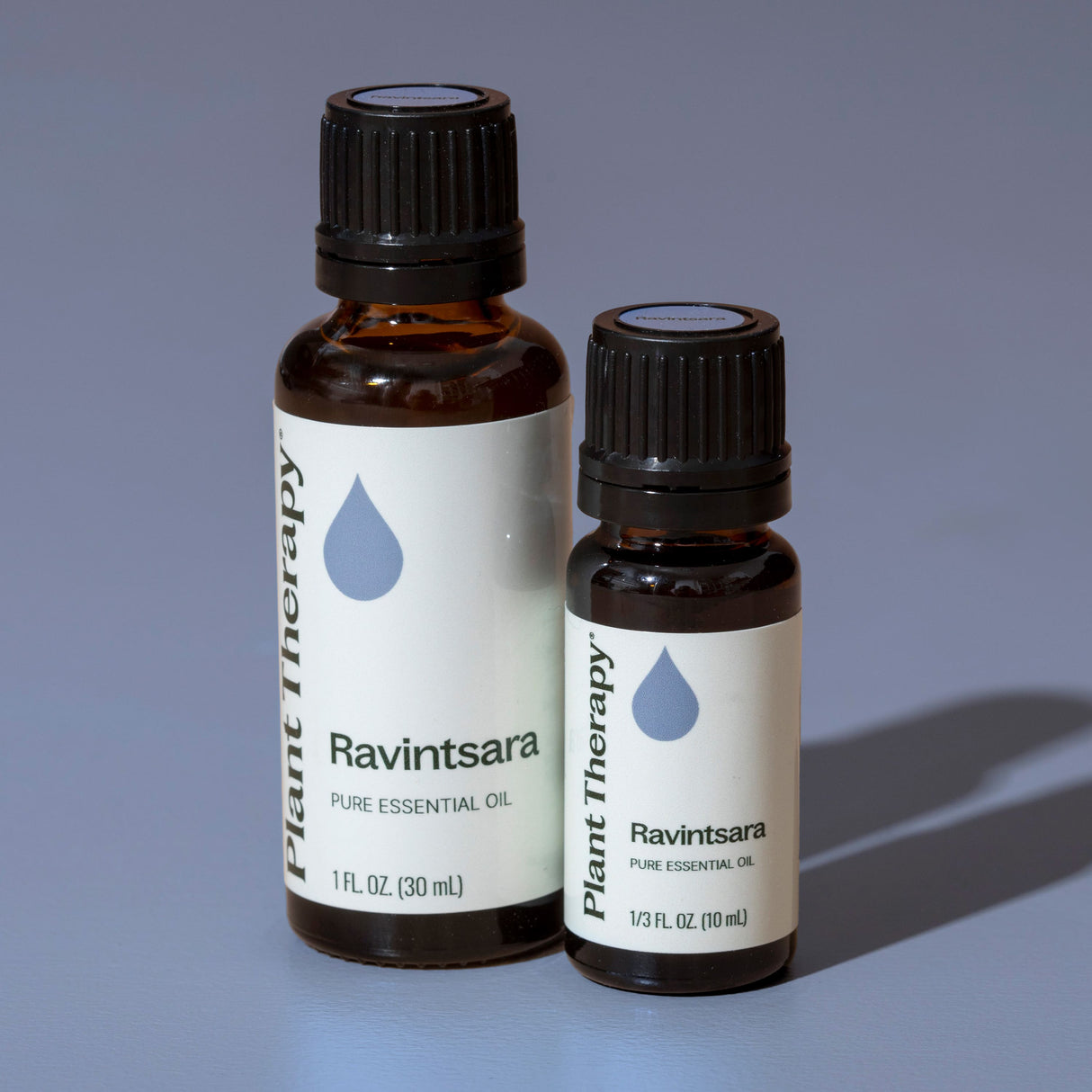 Ravintsara Essential Oil from Plant Therapy
