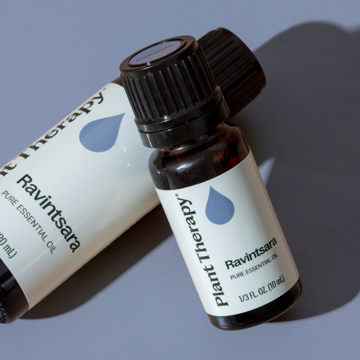 Ravintsara Essential Oil from Plant Therapy
