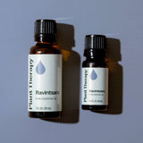 Ravintsara Essential Oil from Plant Therapy