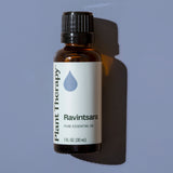 Ravintsara Essential Oil from Plant Therapy