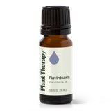 Ravintsara Essential Oil from Plant Therapy