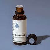 Ravintsara Essential Oil from Plant Therapy