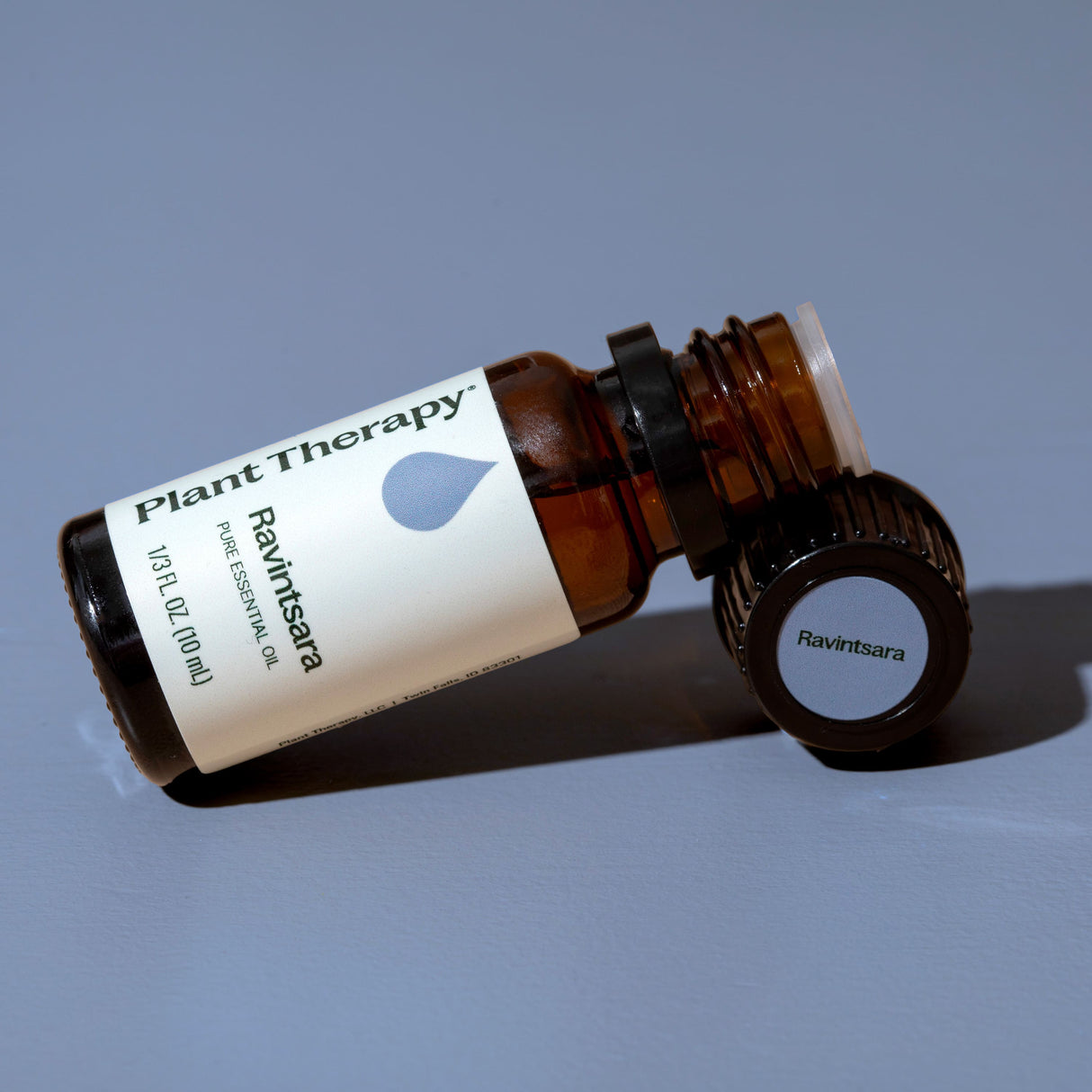 Ravintsara Essential Oil from Plant Therapy