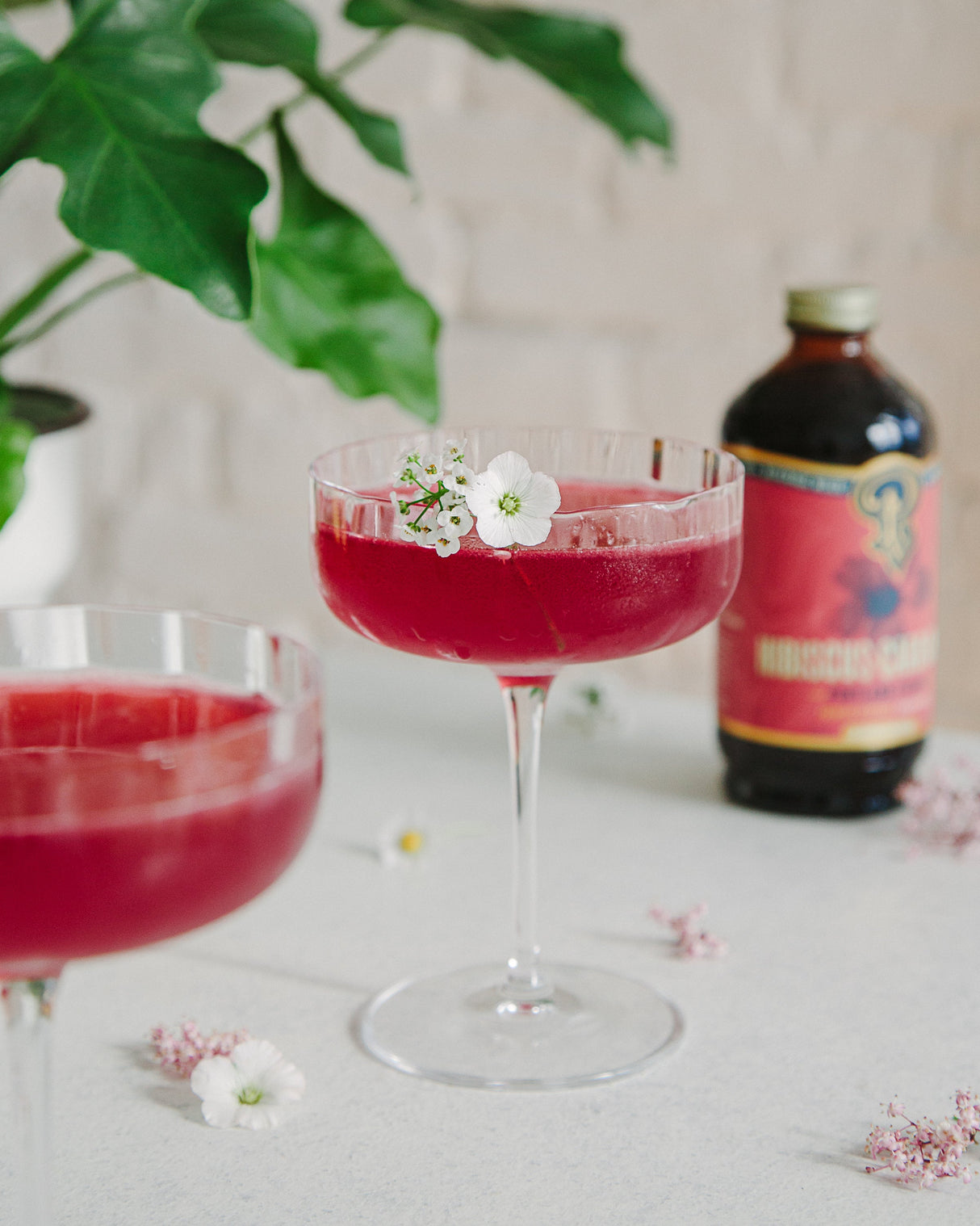 Hibiscus Cardamom Syrup from Portland Syrups