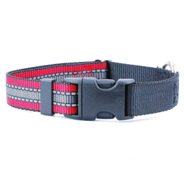 5/8″ and 1″ Reflective Red Nylon Dog Collar from 2 Hounds Design