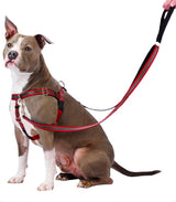 Reflective Red Freedom No-Pull Dog Harness from 2 Hounds Design