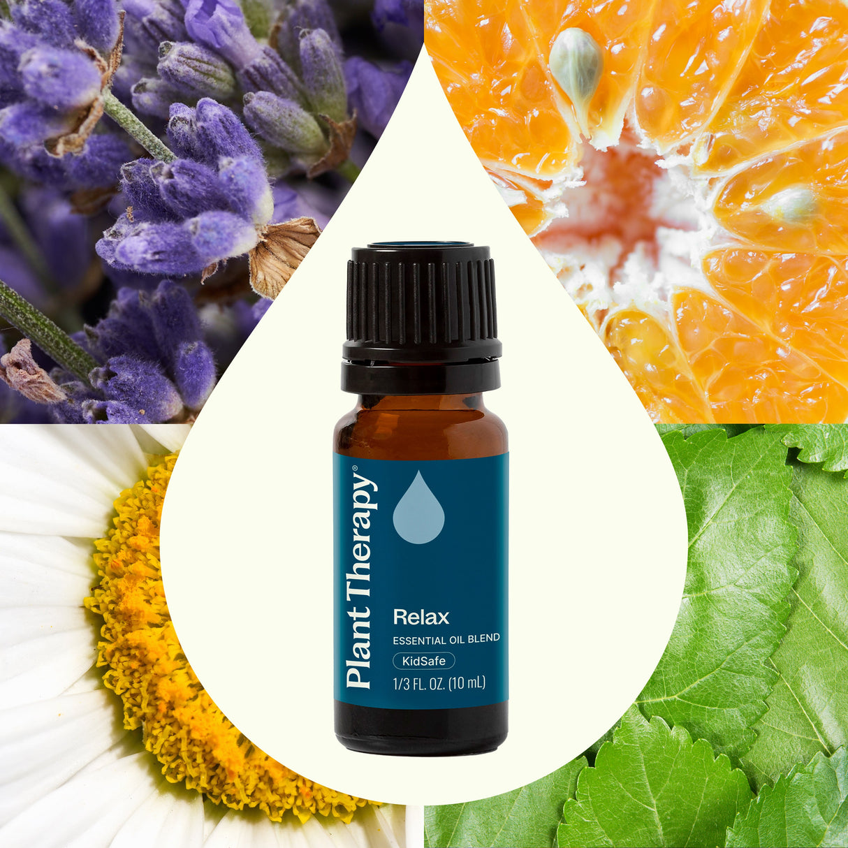 Relax Essential Oil Blend from Plant Therapy