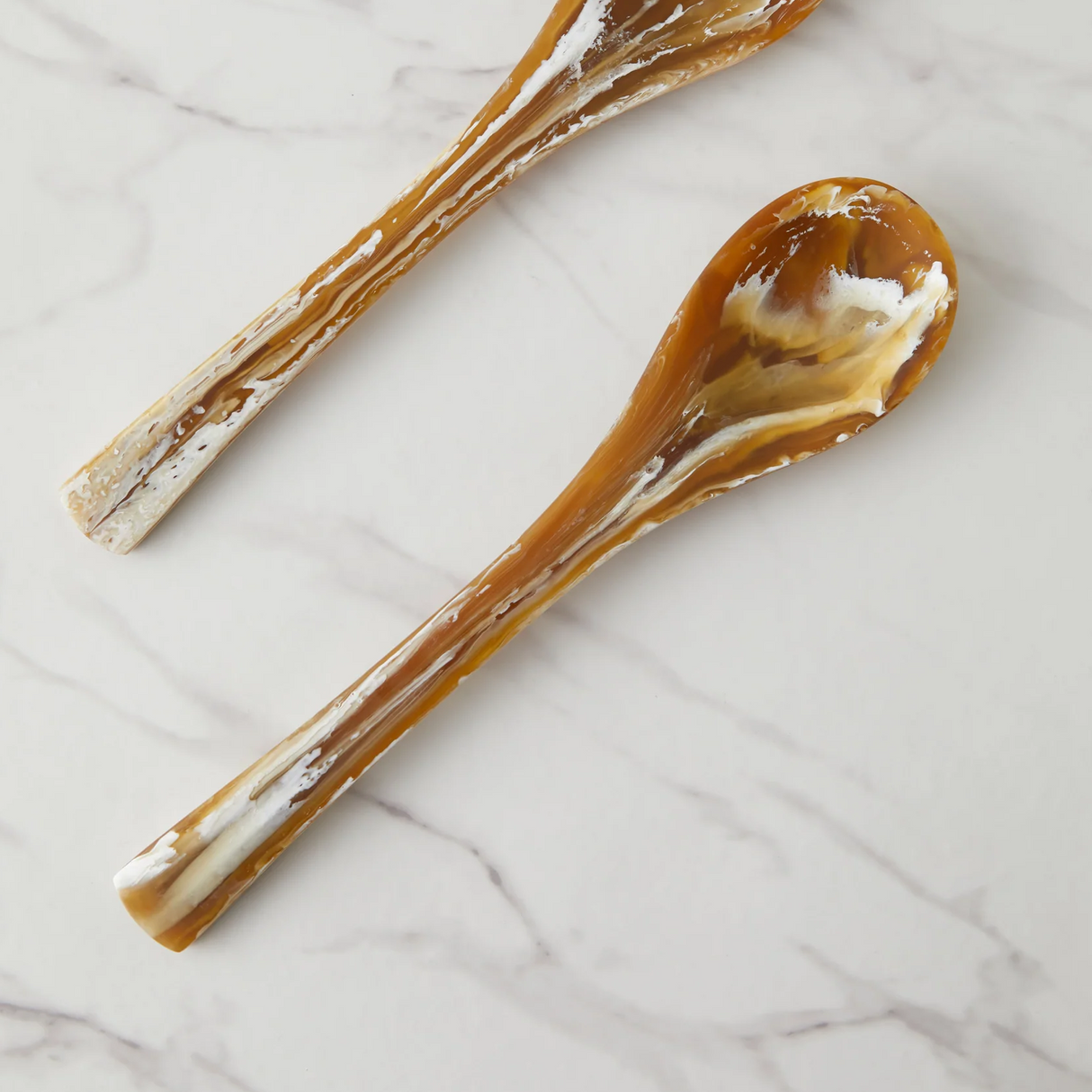 Resin Sugar + Spice Spoon From Abroad Modern