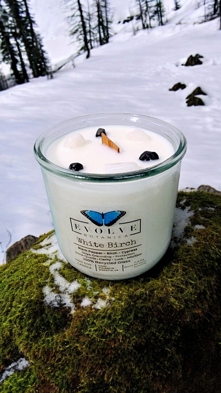Rocks Candle - White Birch (Wood Wick Snow Quartz & Onyx Gemstone Soy Candle) from Evolve Botanica