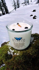 Rocks Candle - White Birch (Wood Wick Snow Quartz & Onyx Gemstone Soy Candle) from Evolve Botanica