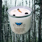Rocks Candle - White Birch (Wood Wick Snow Quartz & Onyx Gemstone Soy Candle) from Evolve Botanica