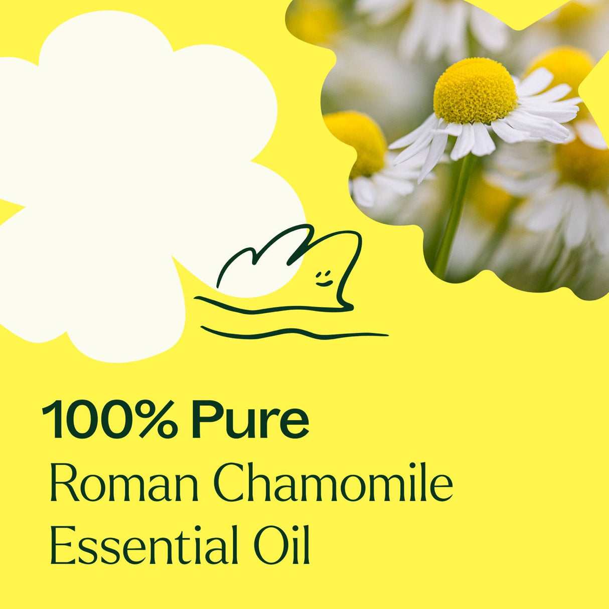 Roman Chamomile Essential Oil from Plant Therapy