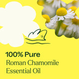 Roman Chamomile Essential Oil from Plant Therapy