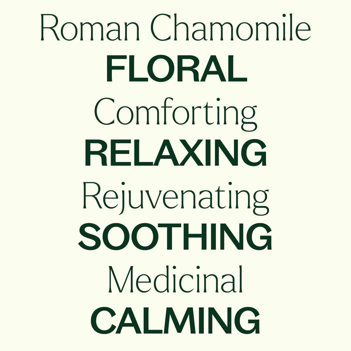 Roman Chamomile Essential Oil from Plant Therapy