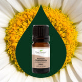 Roman Chamomile Essential Oil from Plant Therapy