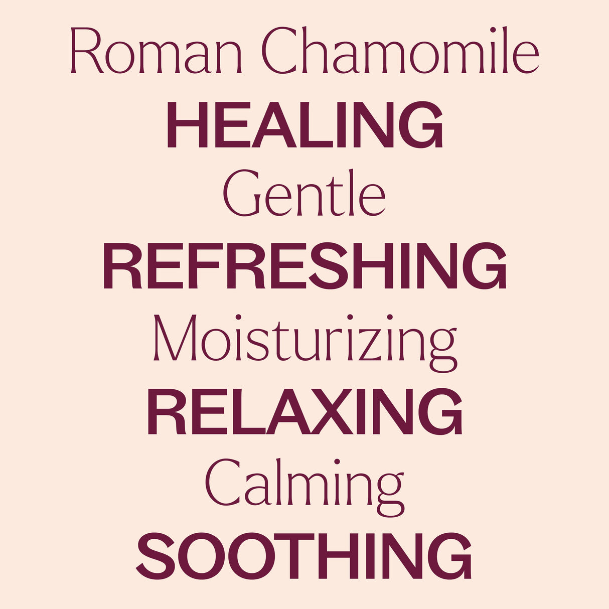 Roman Chamomile Hydrosol From Plant Therapy