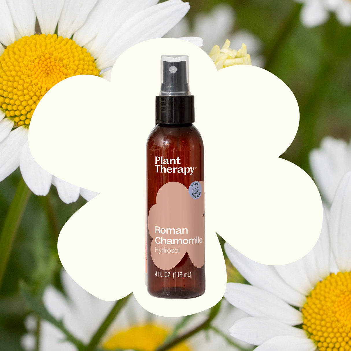 Roman Chamomile Hydrosol From Plant Therapy