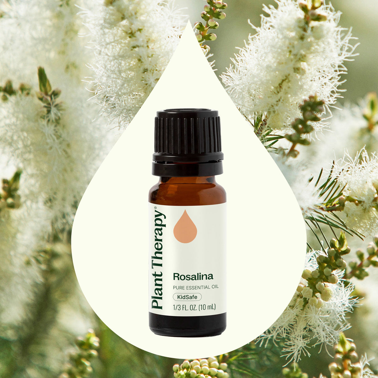 Rosalina Essential Oil from Plant Therapy