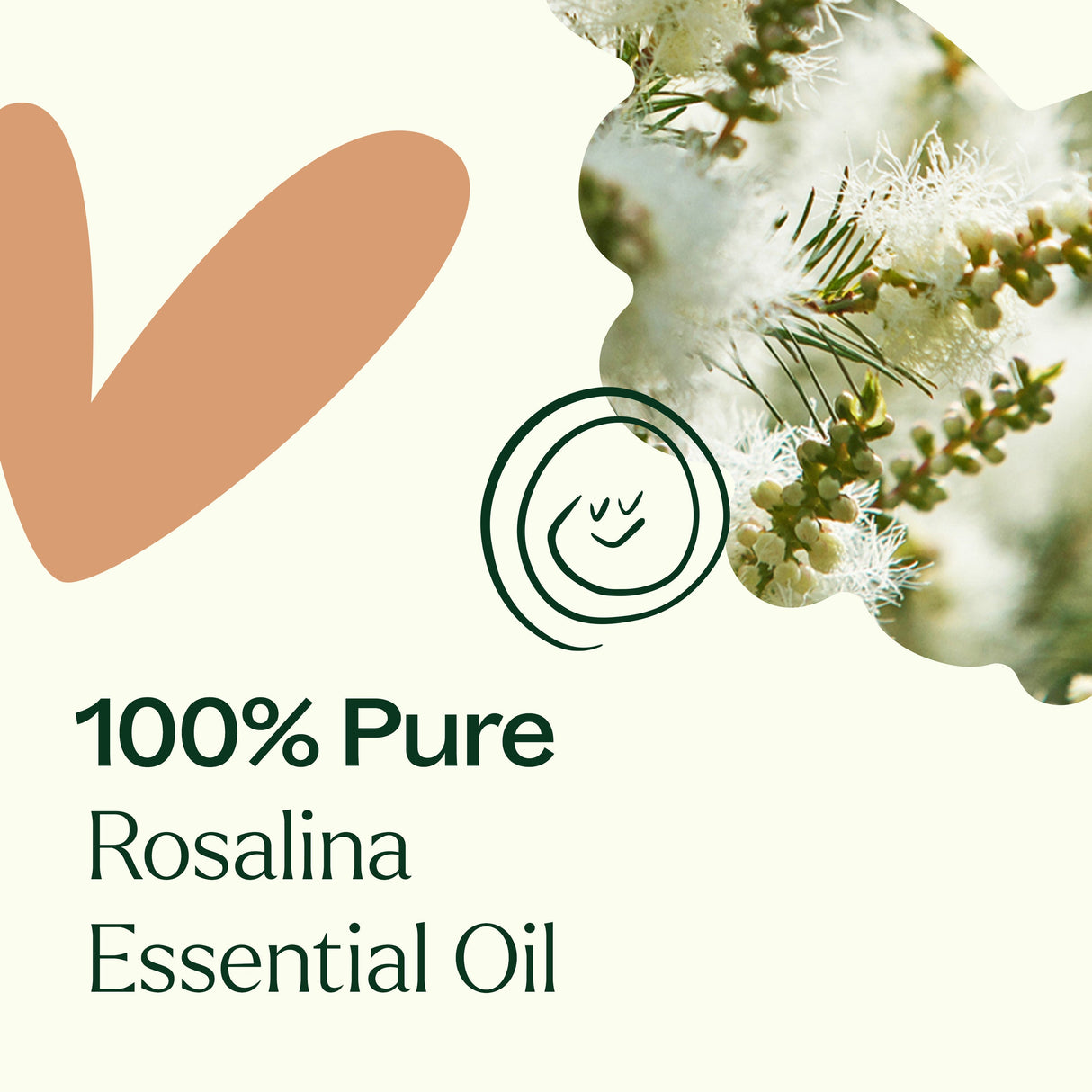 Rosalina Essential Oil from Plant Therapy