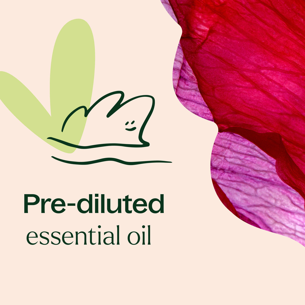 Rose Essential Oil Pre-Diluted Roll-On from Plant Therapy