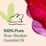 Rose Absolute Essential Oil from Plant Therapy
