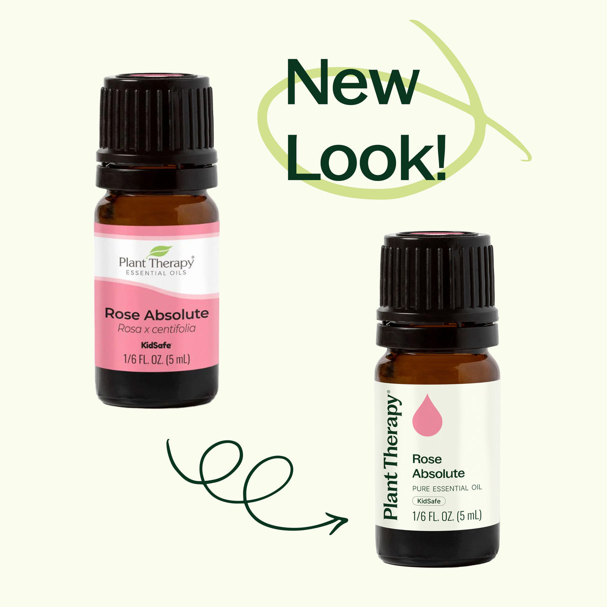 Rose Absolute Essential Oil from Plant Therapy