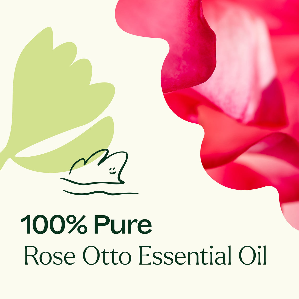 Rose Otto Essential Oil from Plant Therapy